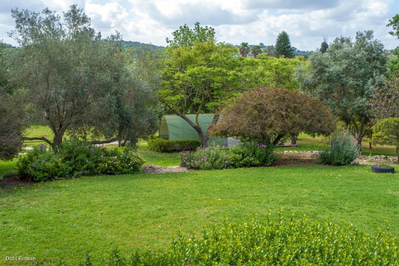 Amikam Meshek 81 משק 81 עמיקם Villa Exterior photo